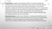 Skaidrės. Konfliktai ir jų valdymo būdai 11 puslapis
