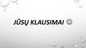Skaidrės. Konfliktai ir jų valdymo būdai 17 puslapis