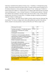 Vilniaus miesto statomi ir planuojami statyti kelių objektai. Jų perspektyvos 12 puslapis