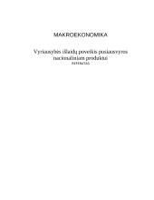 Vyriausybės išlaidų poveikis pusiausvyros nacionaliniam produktui
