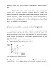 Vyriausybės išlaidų poveikis pusiausvyros nacionaliniam produktui 5 puslapis