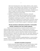 Vyriausybės politika, sprendžiant skurdo problemą 11 puslapis