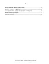 Vyriausybės politika, sprendžiant skurdo problemą 19 puslapis