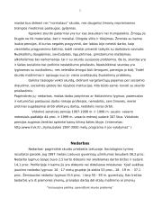 Vyriausybės politika, sprendžiant skurdo problemą 5 puslapis