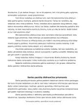 Vyriausybės politika, sprendžiant skurdo problemą 6 puslapis