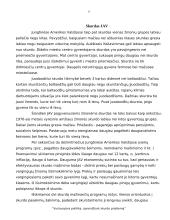 Vyriausybės politika, sprendžiant skurdo problemą 9 puslapis