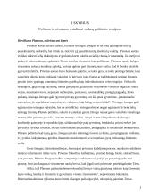 Vyro viešumas ir moters privatumas 2 puslapis