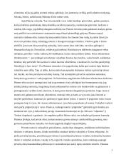 Vyro viešumas ir moters privatumas 3 puslapis