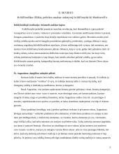 Vyro viešumas ir moters privatumas 5 puslapis