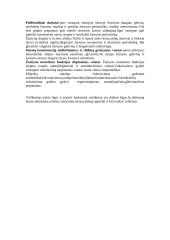 Virškinimo sistemą reguliuojantys vaistai 5 puslapis