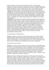 Virškinimo sistemos evoliucija 4 puslapis