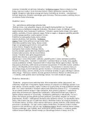 Virškinimo sistemos evoliucija 9 puslapis