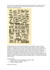 Virškinimo sistemos evoliucija 10 puslapis