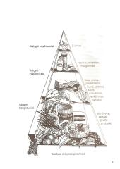 Viršsvoris ir sveikata 10 puslapis