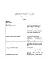 Straipsnio „Kaimo turizmo skatinimo priemonė, vienijant bendruomenes pagal žaliosios Lietuvos viziją“ analizė 4 puslapis