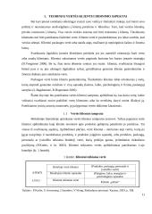 „x“ įmonės vertės klientams didinimas 10 puslapis