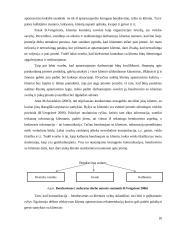 „x“ įmonės vertės klientams didinimas 19 puslapis