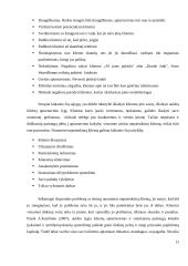 „x“ įmonės vertės klientams didinimas 20 puslapis