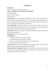 „x“ įmonės vertės klientams didinimas 3 puslapis