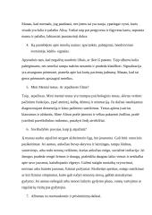 Filmo „Vis dar Alisa“ aptarimas / refleksija 2 puslapis