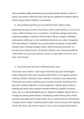 Filmo „Vis dar Alisa“ aptarimas / refleksija 3 puslapis