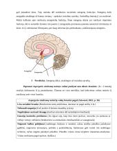 Autizmo spektras. Aspergerio sindromas 6 puslapis