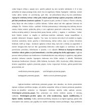 Autizmo spektras. Aspergerio sindromas 8 puslapis