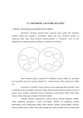 Visuomenės institucijos 2 puslapis