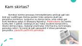 IKT įrankis komiksams kurti 7 puslapis