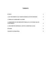 Visuomenės kišimasis į asmeninį gyvenimą