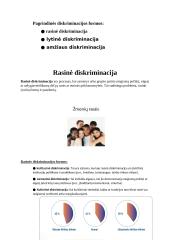 Diskriminacija šiuolaikinėje visuomenėje: priežastys, formos ir socialinio darbo galimybės 4 puslapis