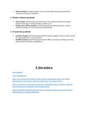 Diskriminacija šiuolaikinėje visuomenėje: priežastys, formos ir socialinio darbo galimybės 10 puslapis