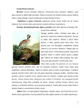 Vištiniai paukščiai Lietuvoje 5 puslapis