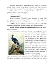 Vištiniai paukščiai Lietuvoje 7 puslapis