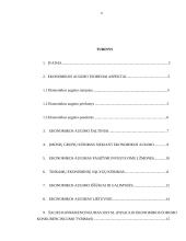 Ekonomikos augimas (referatas)