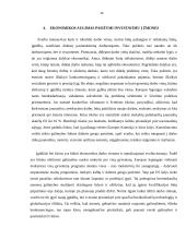 Ekonomikos augimas (referatas) 11 puslapis