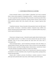 Ekonomikos augimas (referatas) 13 puslapis