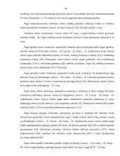 Ekonomikos augimas (referatas) 17 puslapis