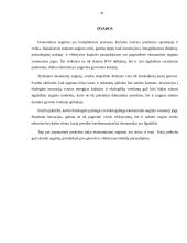 Ekonomikos augimas (referatas) 20 puslapis