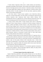 Kriptovaliutos ir jų reguliavimas 6 puslapis