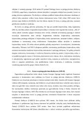 Kriptovaliutos ir jų reguliavimas 7 puslapis