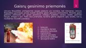 Gaisrų priežastys, gesinimas ir priešgaisrinės sistemos 6 puslapis