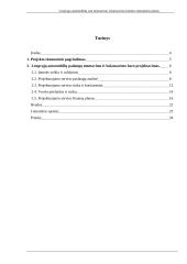 Lengvųjų automobilių padangų pardavimo, montavimo baro organizacinis projektas