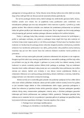 Lengvųjų automobilių padangų pardavimo, montavimo baro organizacinis projektas 11 puslapis