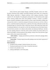 Lengvųjų automobilių padangų pardavimo, montavimo baro organizacinis projektas 2 puslapis