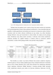 Lengvųjų automobilių padangų pardavimo, montavimo baro organizacinis projektas 5 puslapis