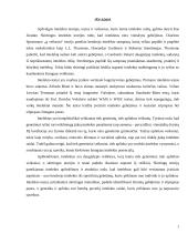 Intelektas 6 puslapis