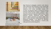M. Montesori filosofinės ir pedagoginės pažiūros  5 puslapis