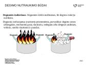 Degimo nutraukimas 10 puslapis