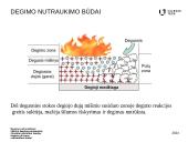 Degimo nutraukimas 11 puslapis